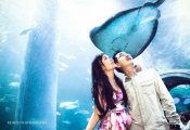 images/prewedding/original/43_190138998.jpg
